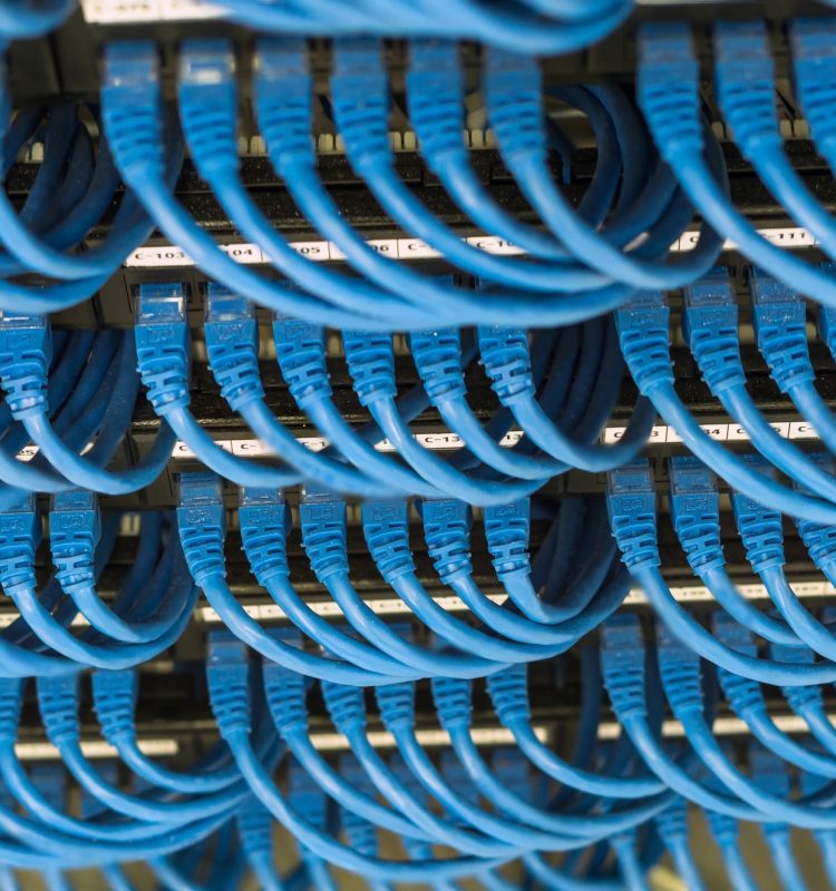 rows of network cable connected to router and switch hub in server room